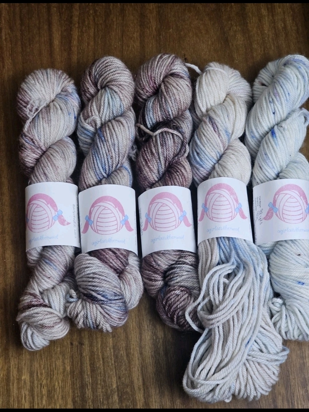 5 Sm Hanks A Girl And Her Wool DK Yarn Mountain Springs Lake Merino Nylon